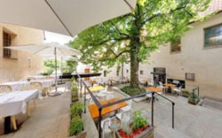 prague kalina restaurant anezska garden view
