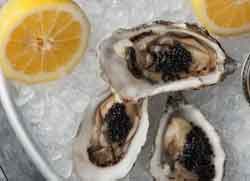 oysters on ice with fresh lemons