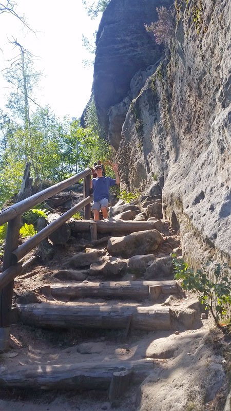 rough pathway going uphill made from logs