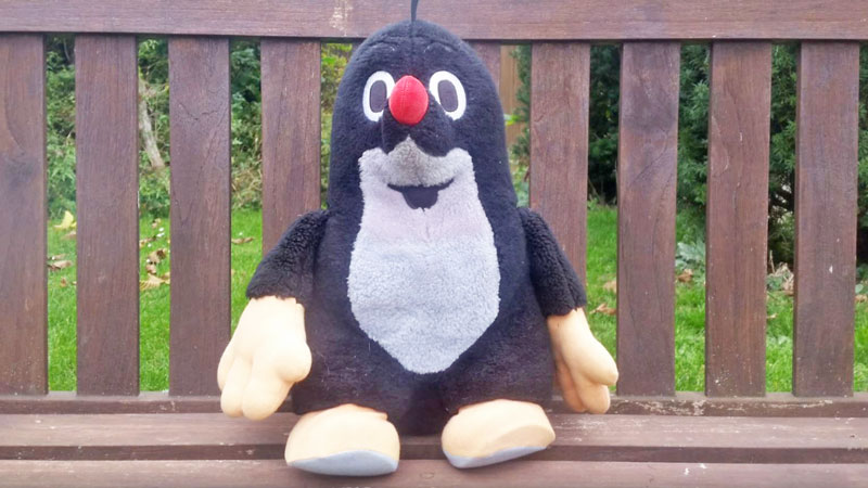 50cm tall mole cuddly toy sitting on a bench