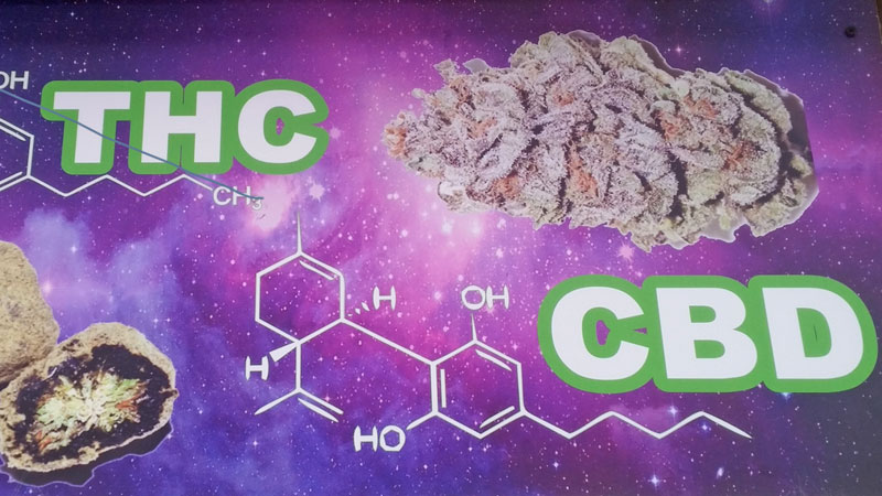 prague cannabis and cbd product advert with thc, cbd and chemical compound