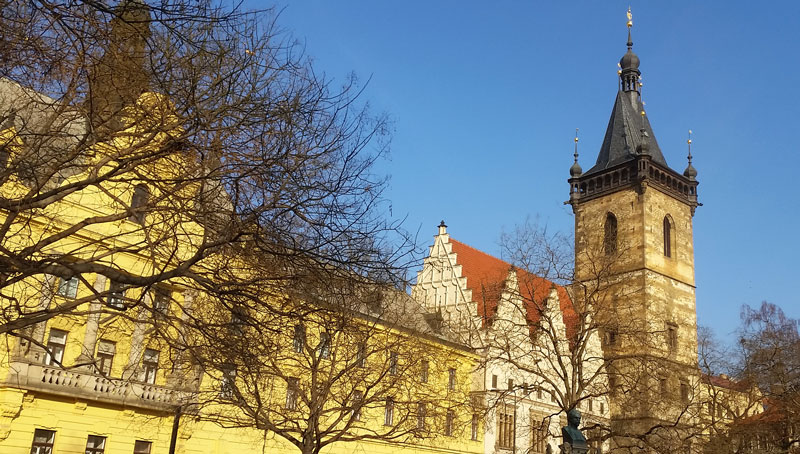 close up of the prague new town hall at charles square no leaves on the trees and blue sky