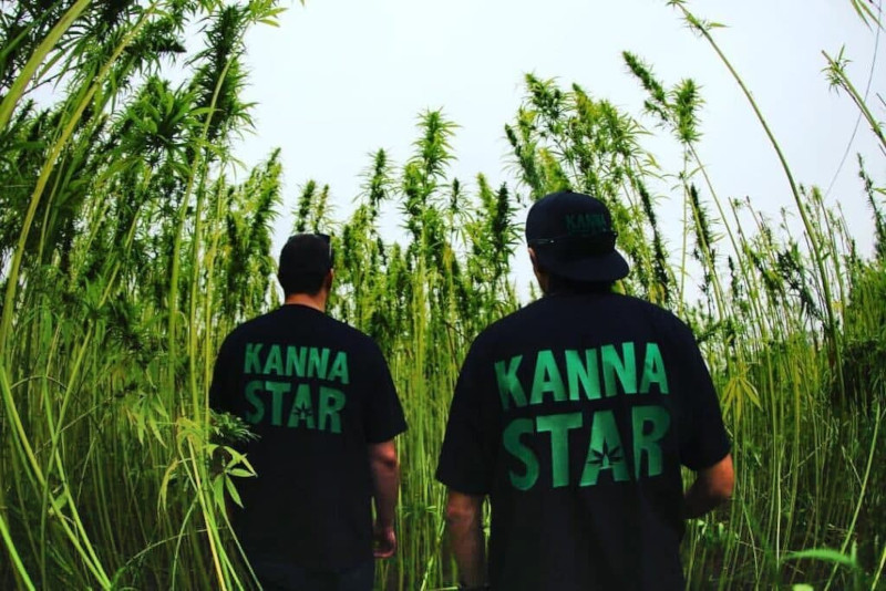two men with kannastar t-shirts walking through a field of hemp plants