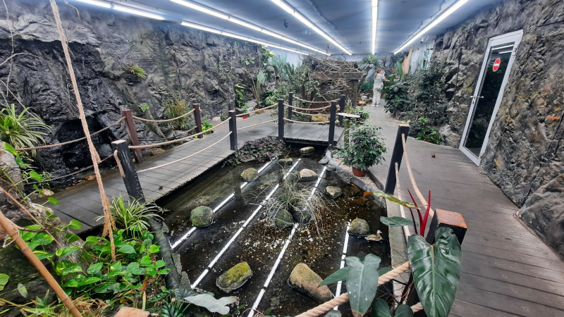 the papilonia butterfly enclosure in the playground in prague