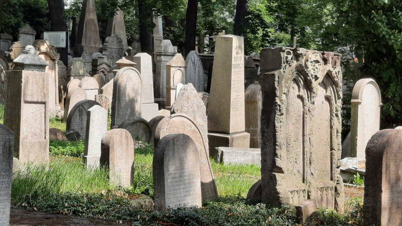 general scene of jewish gravestones in the zizkov old jewish cemetery in prague