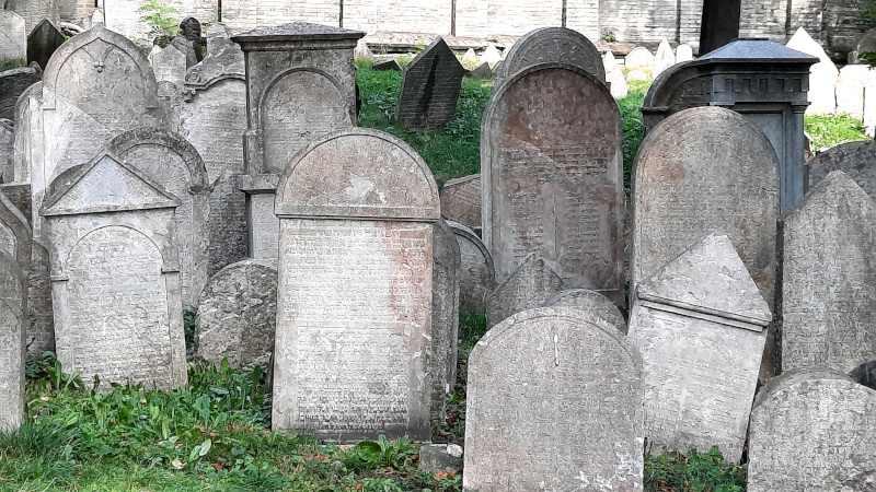 general scene showing gravestones in one area of the zizkov old jewish cemetery in prague