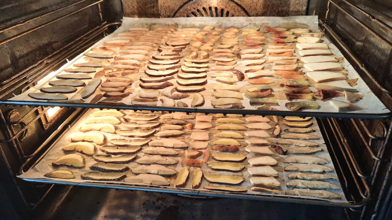 Mushrooms drying in a fan oven