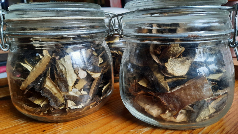 dried mushrooms in sealed jars